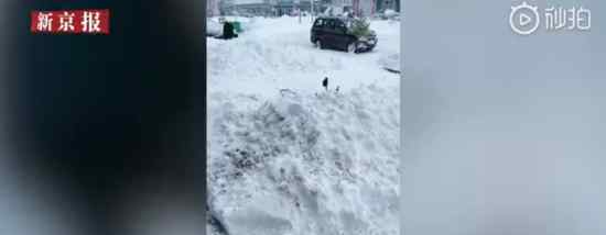 齊齊哈爾積雪2米 齊齊哈爾暴雪