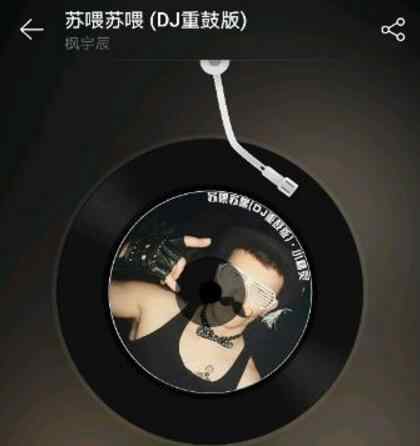 蘇喂蘇喂蘇喂原曲歌名 抖音蘇喂蘇喂是什么梗