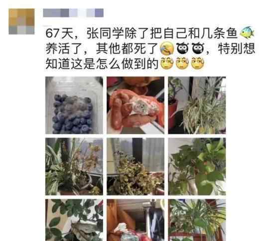 女護(hù)士援鄂67天回家后驚呆了 具體怎么回事