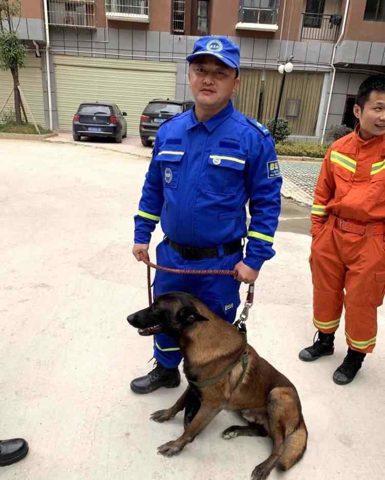 兩搜救犬疑被毒死 總價(jià)值近7萬(wàn)元，不隨意吼叫攻擊人