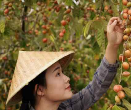 云南是哪個省 滇南小哥在云南哪里