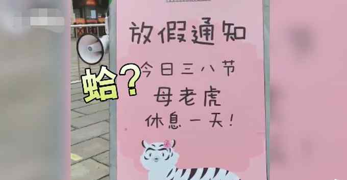 江蘇一動物園三八節(jié)給母老虎放假 網(wǎng)友調侃：母獅子表示不服