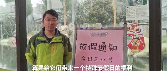 江蘇一動物園三八節(jié)給母老虎放假 網(wǎng)友調侃：母獅子表示不服