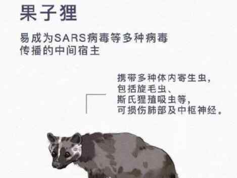 海南禁食陸生野生動物 為什么要這樣做