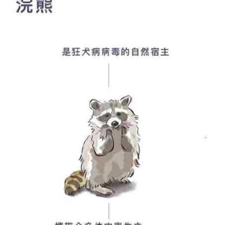 海南禁食陸生野生動物 為什么要這樣做