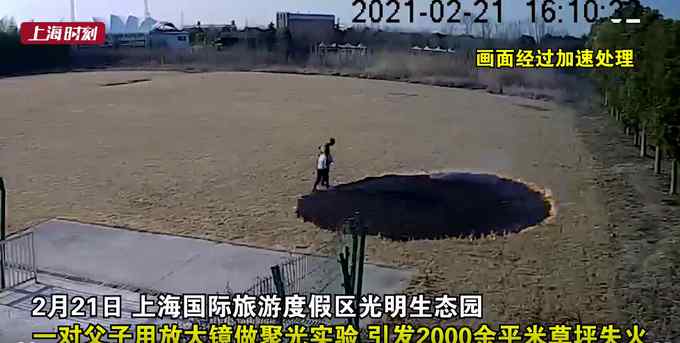 上海一對父子公園做實驗 2000平米草坪瞬間遭了殃 畫面恐怖