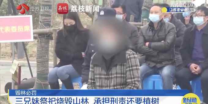 江蘇連云港3人祭祀燒毀山林 被罰種2000棵樹！網(wǎng)友：罰得好