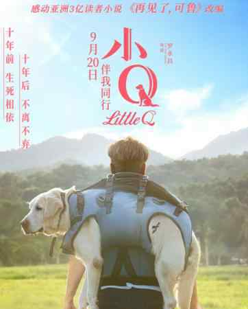 小Q票房破億 堪比忠犬八公你看了嗎