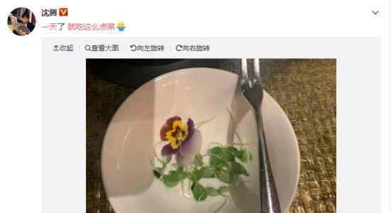 沈騰 一天就吃這么點(diǎn)菜  什么情況沈騰自己發(fā)圖