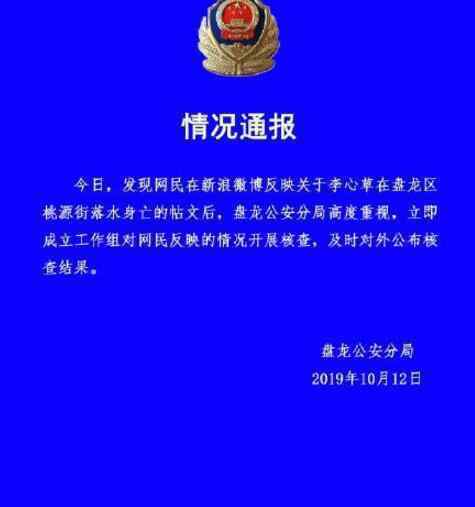 李心草溺亡通報 溺亡不是意外李心草溺亡事件回顧