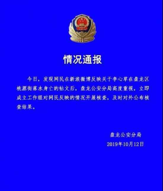 李心草溺亡通報媽媽稱女兒曾遭男子施暴什么情況