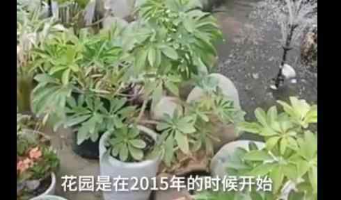 女兒為植物人父親打造花園 回顧事情經(jīng)過(guò)