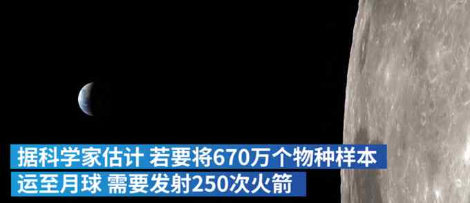 美科學(xué)家欲打造“月球方舟” 保存670萬個(gè)地球物種 面臨困難不少