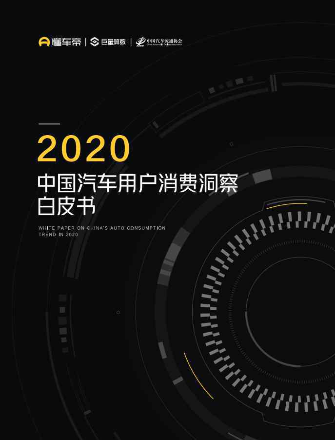 中國白皮書 2020年中國汽車用戶消費洞察白皮書