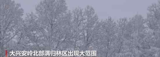 大興安嶺滿歸林區(qū)積雪超20厘米 客車停運(yùn)了