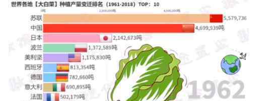 韓國1棵白菜79元什么情況為什么這么貴