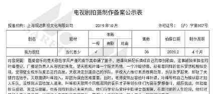 我為歌狂電視劇備案通過 我為歌狂是什么劇