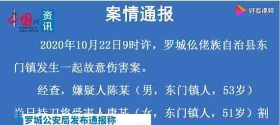 廣西男子持刀割傷女子后跳樓死亡 警方官方通報(bào)如何說