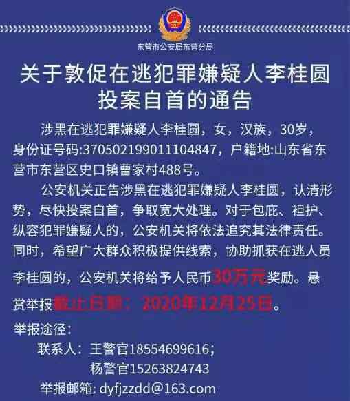 山東警方懸賞30萬抓捕涉黑女頭目 長(zhǎng)什么樣