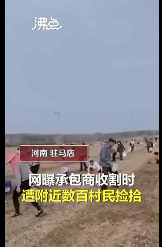 承包商收割花生村民尾隨撿拾 什么場面