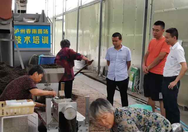 食用菌培訓(xùn)基地 食用菌專家到瀘州春雨菌業(yè)技術(shù)培訓(xùn)基地調(diào)研