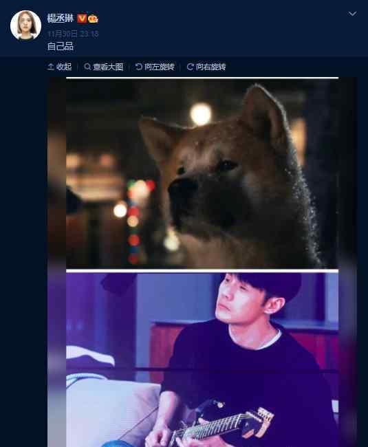 楊丞琳曬李榮浩與柴犬對比圖 網(wǎng)友直呼：最大黑粉