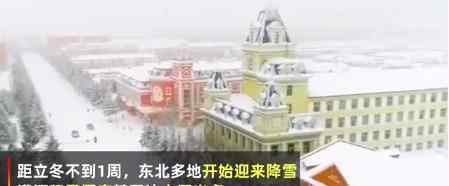 東北雪場首次迎來大批三亞游客 具體什么情況