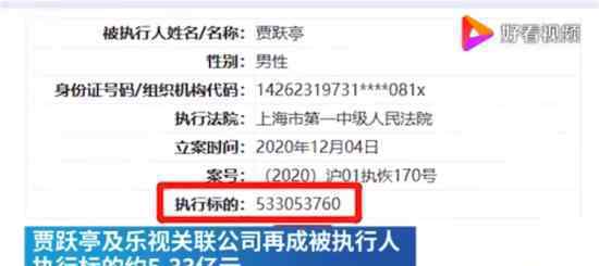 賈躍亭再成被執(zhí)行人 原因是什么具體什么情況