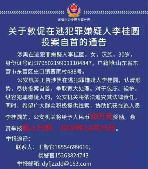 警方懸賞30萬抓捕90后涉黑女頭目 具體是什么情況