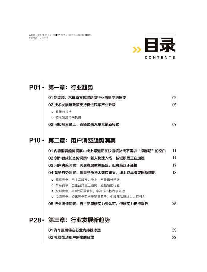 中國白皮書 2020年中國汽車用戶消費洞察白皮書