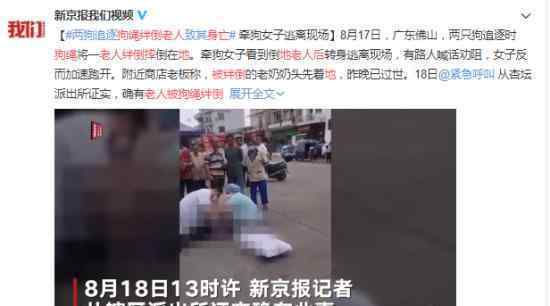 老人被狗繩絆倒摔地后身亡 飛來橫禍狗主人當(dāng)眾逃跑