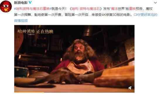 哈利波特與魔法石重映 夢(mèng)回童年期待