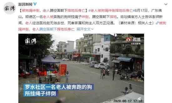 老人被狗繩絆倒摔地后身亡 警方已介入調(diào)查中