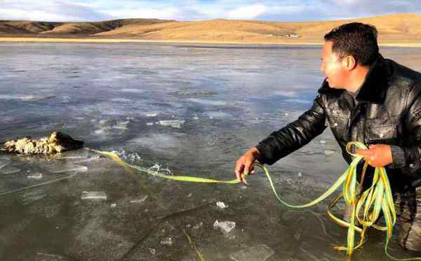 青海鄉(xiāng)干部跳入冰湖救落水野狼 在野外遇到狼了怎么辦