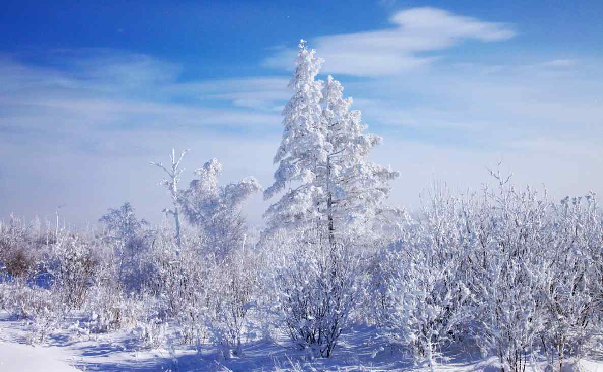 秦嶺太白山雪后霧凇美景 霧凇是怎樣形成的