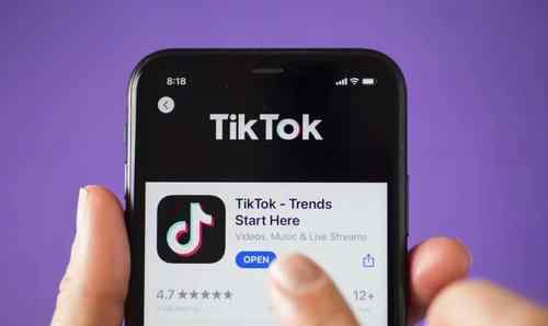 美政府未延長TikTok出售最后期限 TikTok禁令暫緩執(zhí)行