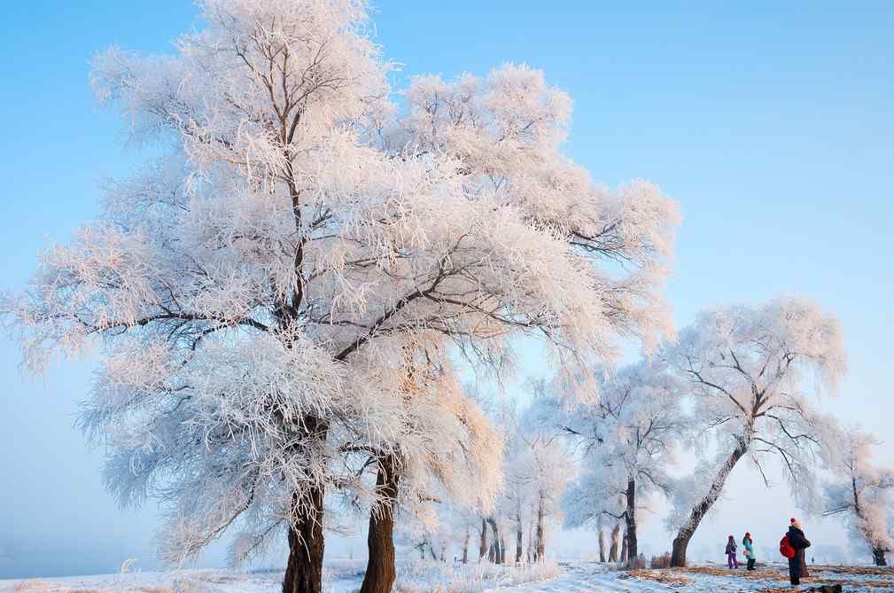 秦嶺太白山雪后霧凇美景 霧凇是怎樣形成的