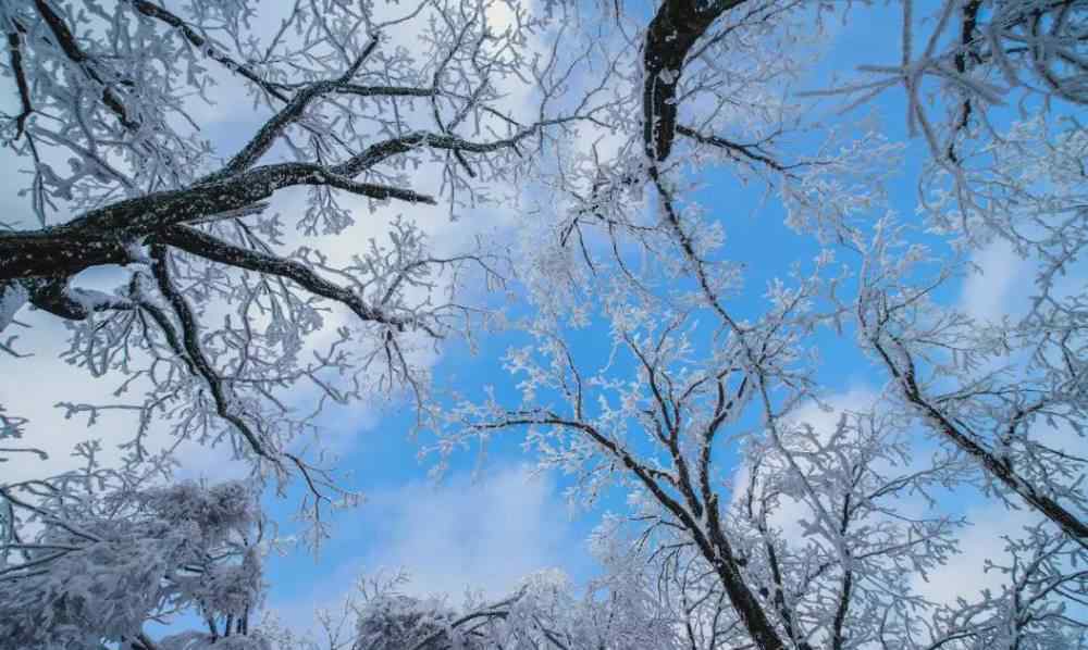 河南多景區(qū)飄起鵝毛大雪 具體是什么情況？