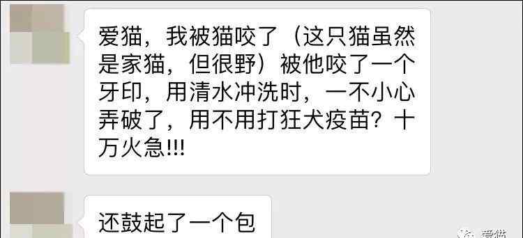 狗有狂犬病能活多久 狂犬??！我們都被它騙了多少年？