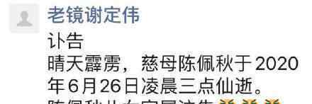 中國(guó)書畫界泰斗陳佩秋辭世 具體是啥情況?