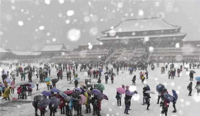 今日小雪 飛雪如花落歲歲又年年