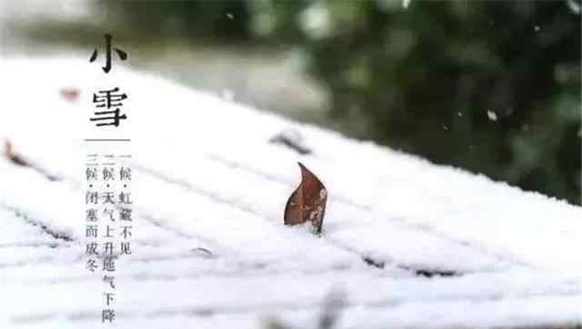 今日小雪 飛雪如花落歲歲又年年