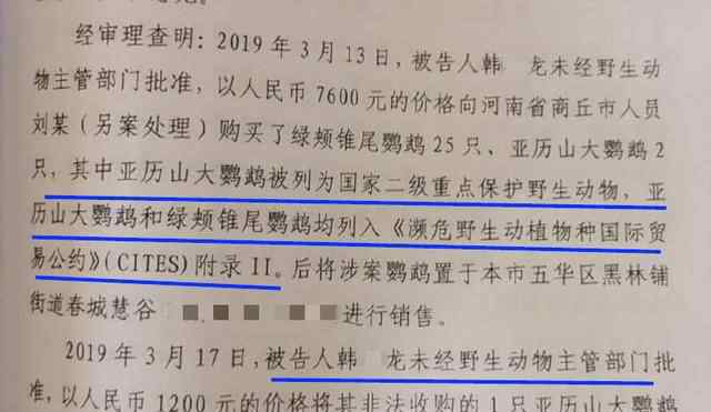 大學生售賣2只鸚鵡一審獲刑6年 究竟發(fā)生了什么?