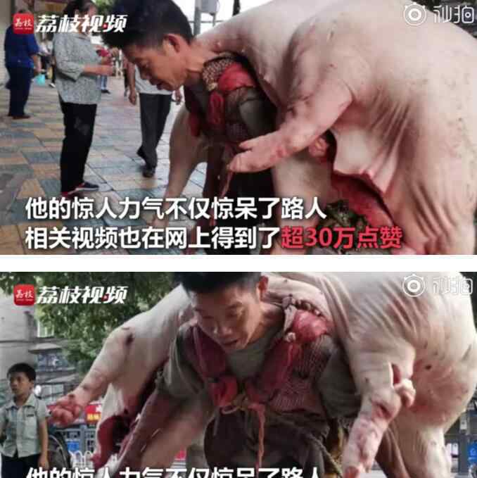 貴陽背肉漢回應背480斤豬肉 事情的詳情始末是怎么樣了！