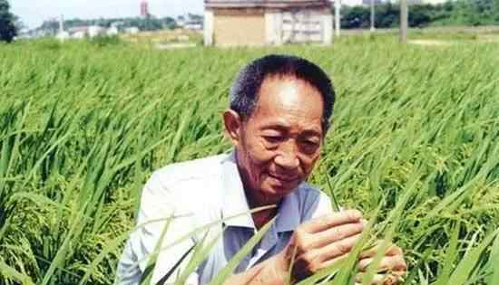 袁隆平豪宅曝光 把“豪宅別墅”當(dāng)成“田間地頭”