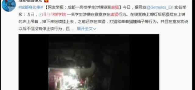 女大學(xué)生寢室虐貓 如果不愛請(qǐng)不要傷害