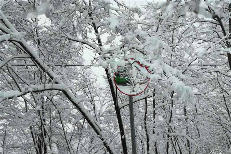 甘肅天水四月飛雪 這意味著什么?