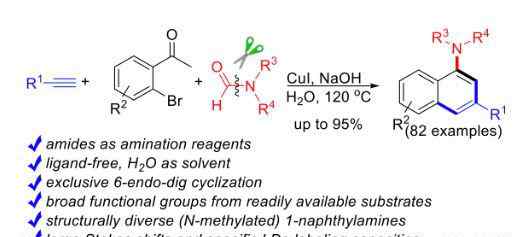 芳香胺 JACS 湖南大學(xué)周永波課題組在芳香胺合成領(lǐng)域取得重要研究進展