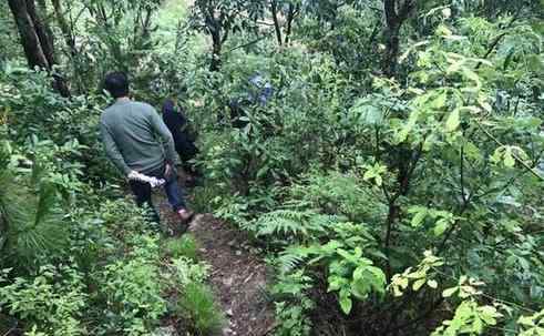 民警深山追捕嫌犯 渴了就喝點(diǎn)雨水餓了就吃點(diǎn)燒土豆