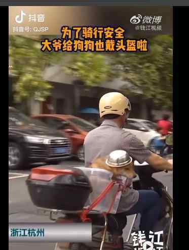 大爺騎摩托車給狗戴上頭盔 事件的真相是什么？